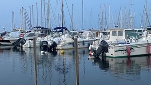 A marina with multiple sailboats docked, featuring masts, sails, and various boat types.