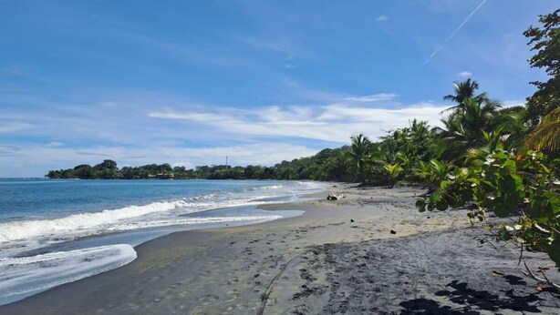 A beach with clear blue water, a sandy shore, and lush greenery. - Casitas en la Jungla - Luz Tropical (Puerto Viejo de Talamanca)