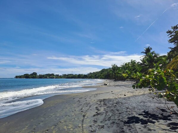 Exterior - Casitas en la Jungla - Luz Tropical (Puerto Viejo de Talamanca)