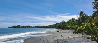 Casitas en la Jungla - Luz Tropical