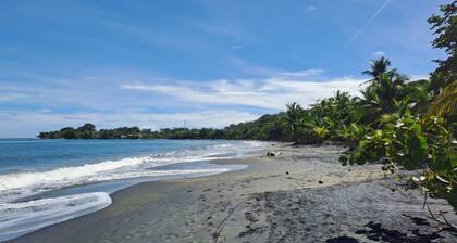 Casitas en la Jungla - Luz Tropical