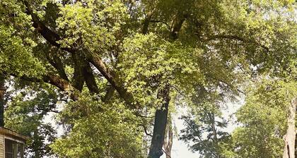 Sleeps 6 - Private Pool - Lake Views - End of the Road Lakehouse