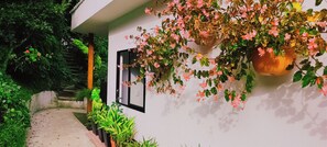A pathway leading to a white building with a window and a hanging planter with pink flowers. - Hotel Campestre La Martina (Rionegro)