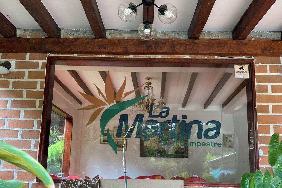 A cozy seating area with a sofa and cushions, a decorative elephant statue, and a window with the sign "La Martina".