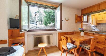 Apartment Erica Bormio