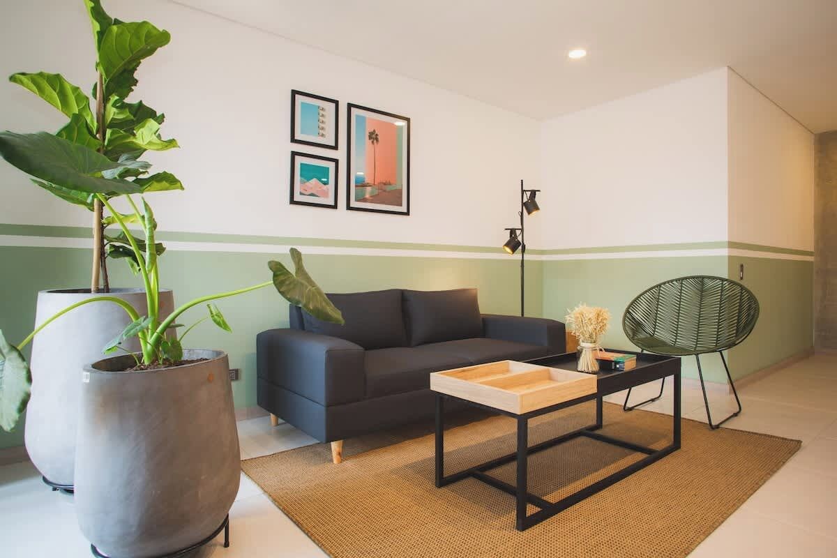 A modern living room with a sofa, a coffee table, and a large potted plant.