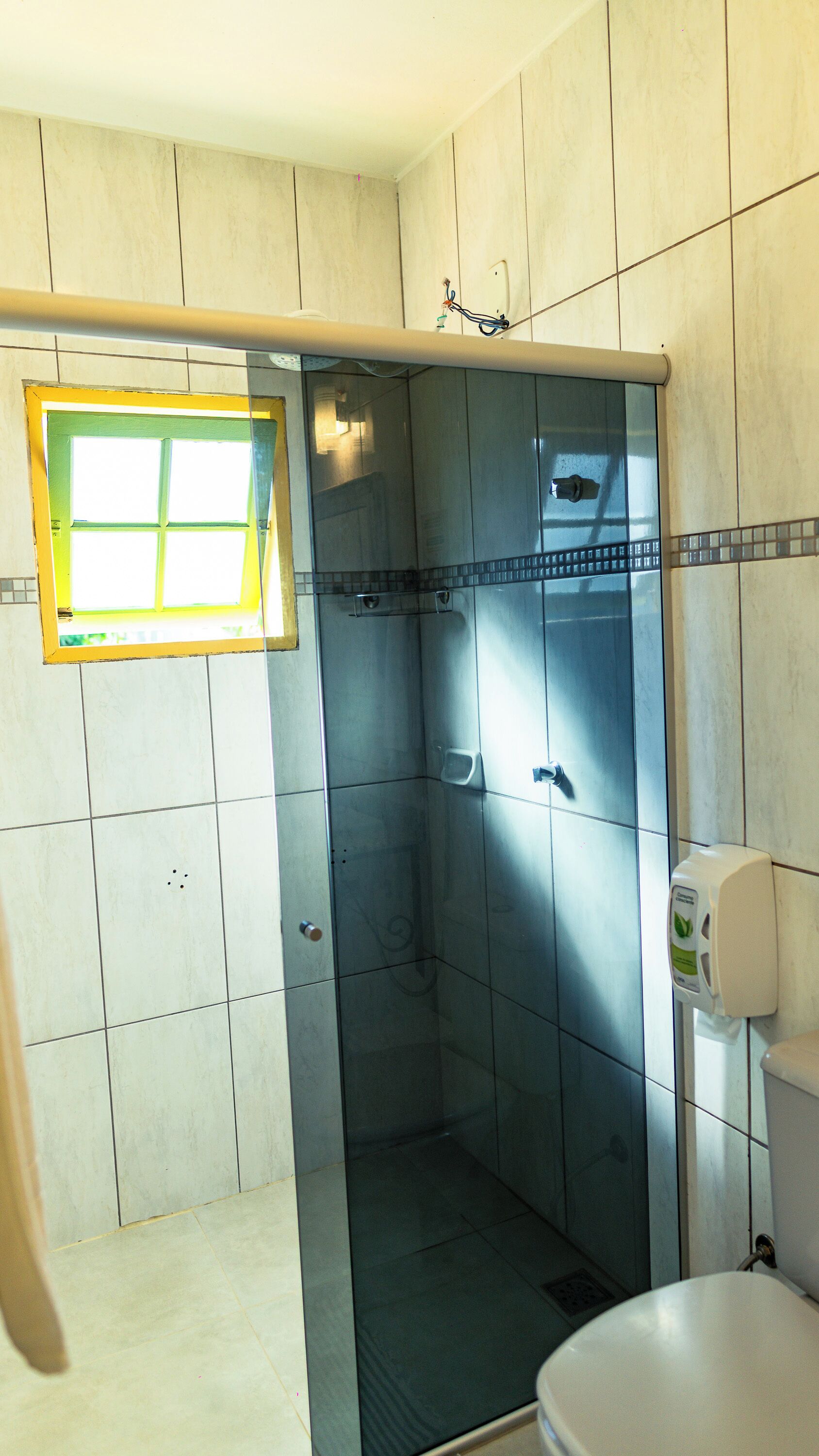 A bathroom with a glass-enclosed shower, a toilet, and a hand soap dispenser.