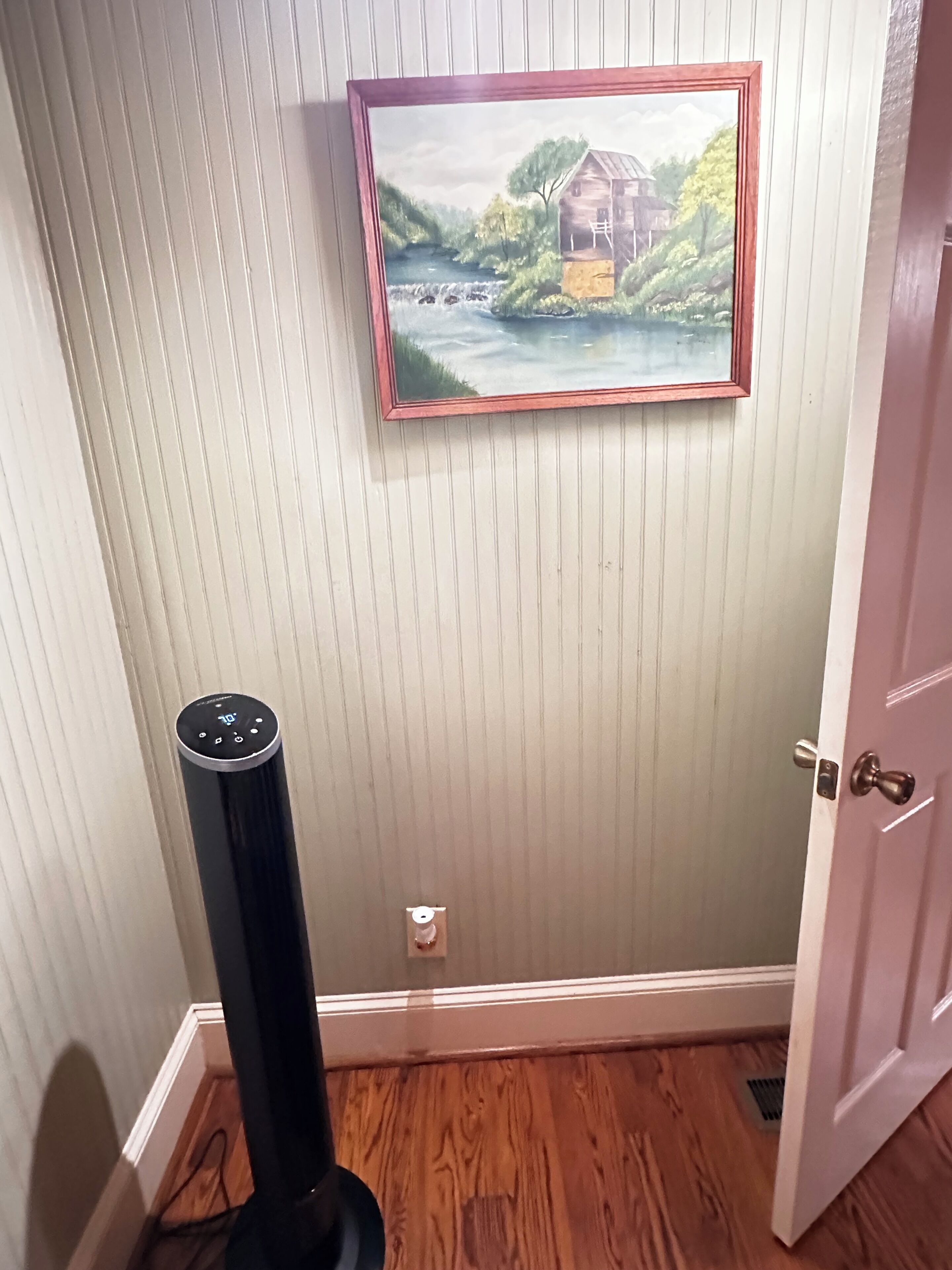 A room with a wooden floor, a white door, a framed painting of a landscape, and a black object on the floor.