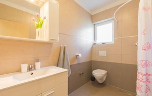 Shower, hair dryer