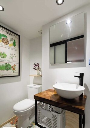 A modern bathroom with a white toilet, a wooden vanity with a white sink, and a framed botanical illustration on the wall.