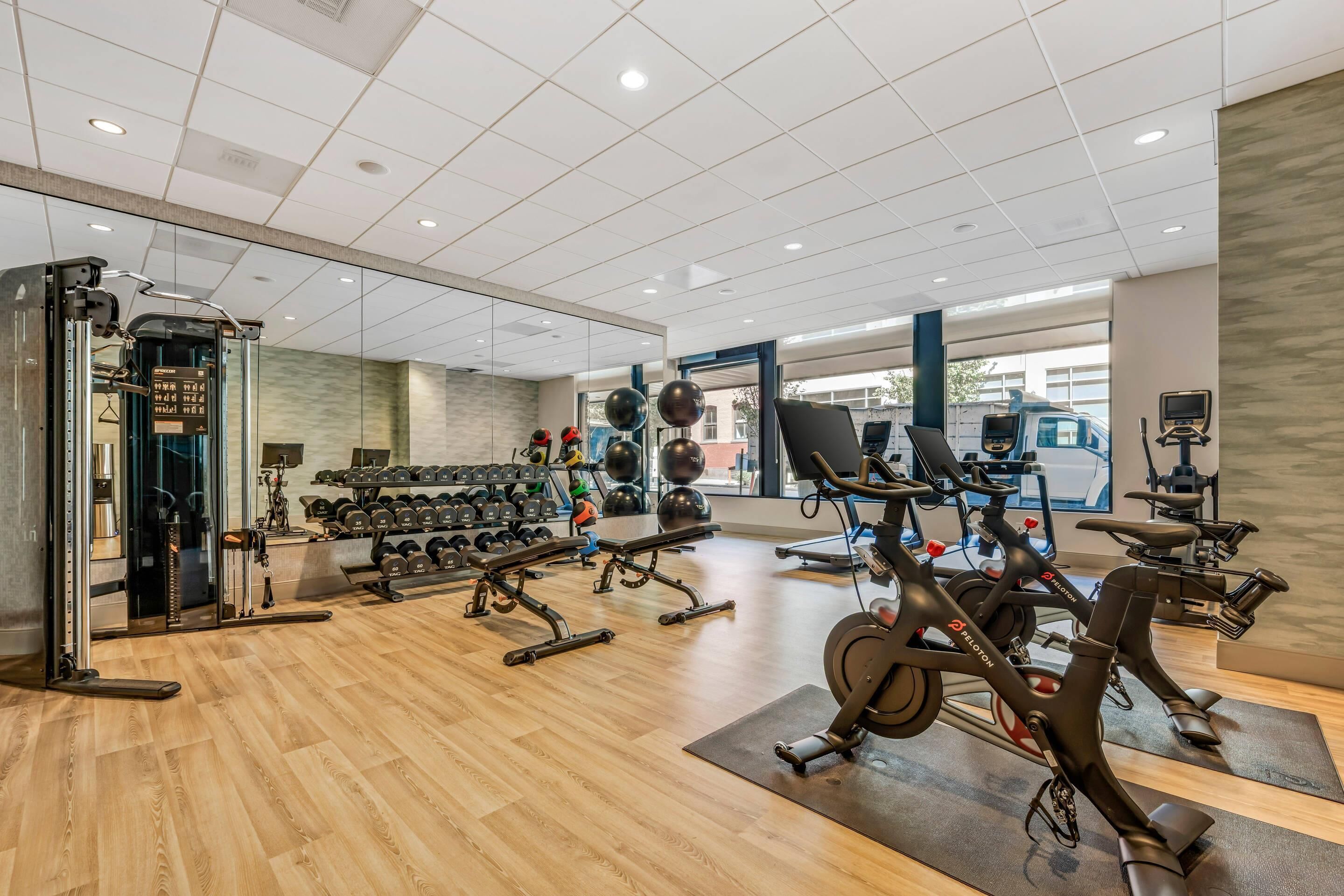 A modern gym with cardio equipment, weight machines, and free weights.
