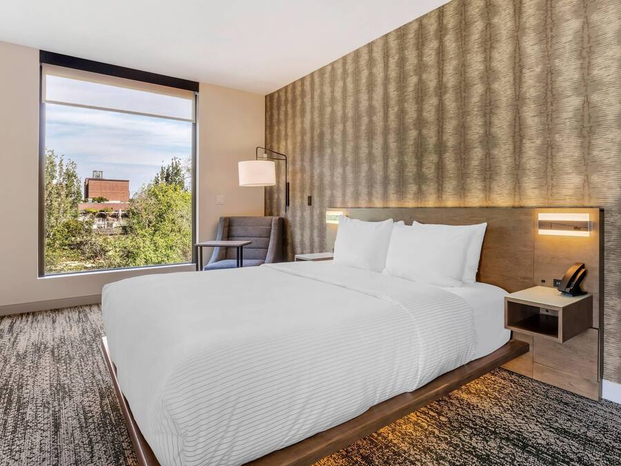 A hotel room with a large bed, a nightstand, a chair, and a window offering a view of buildings and trees.