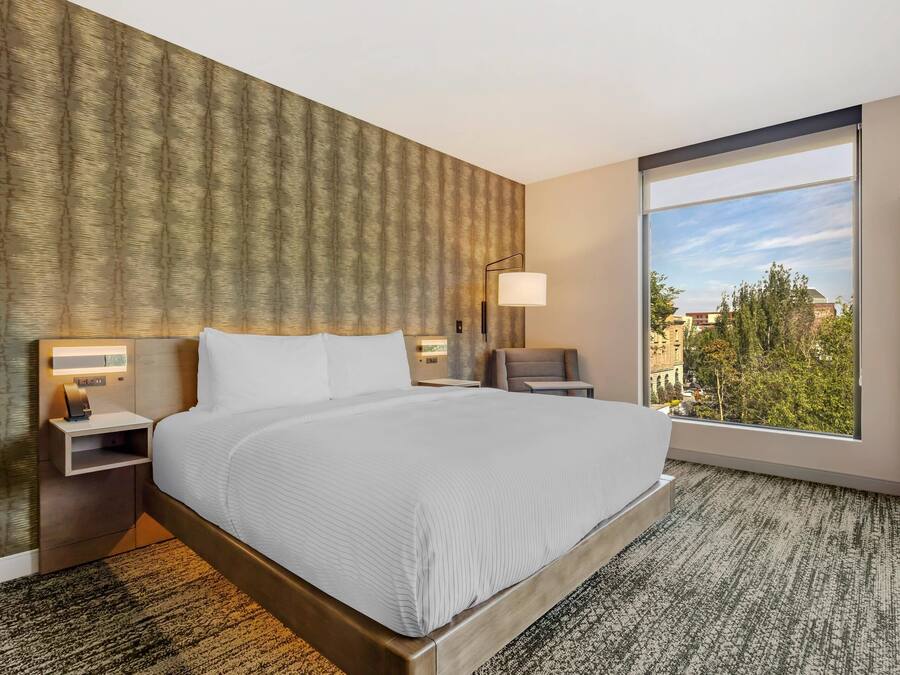 A hotel room with a large bed, a nightstand with a lamp, a view of the city through a large window, and a patterned carpet.