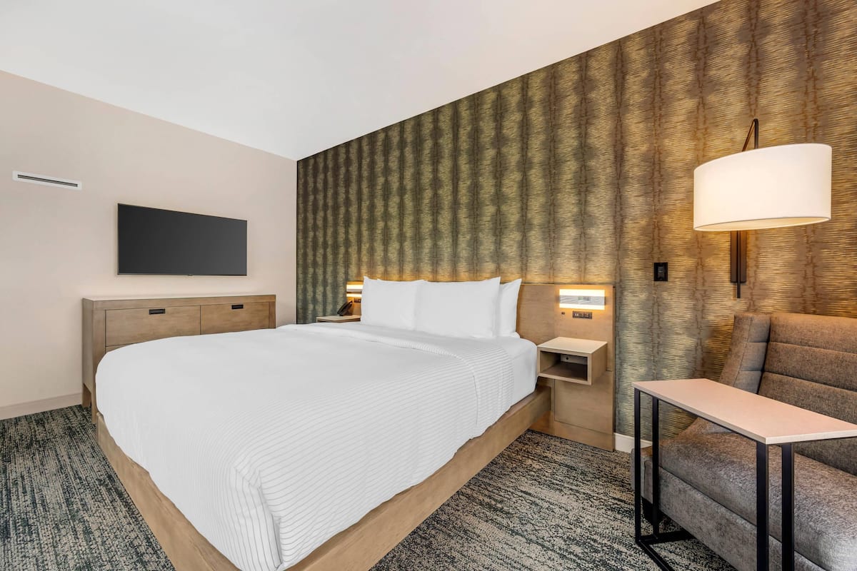 Suite, 1 King Bed with Sofa bed, Non Smoking