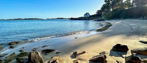 صيد الأسماك