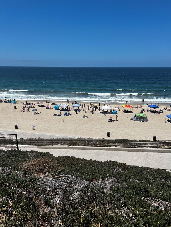 بالقرب من الشاطئ