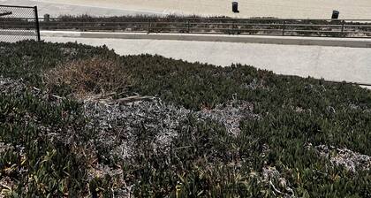 ONLY STEPS TO THE BEACH