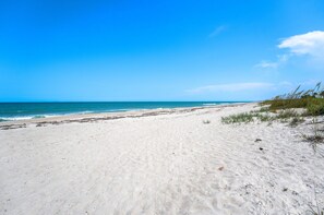 Sun loungers, beach towels