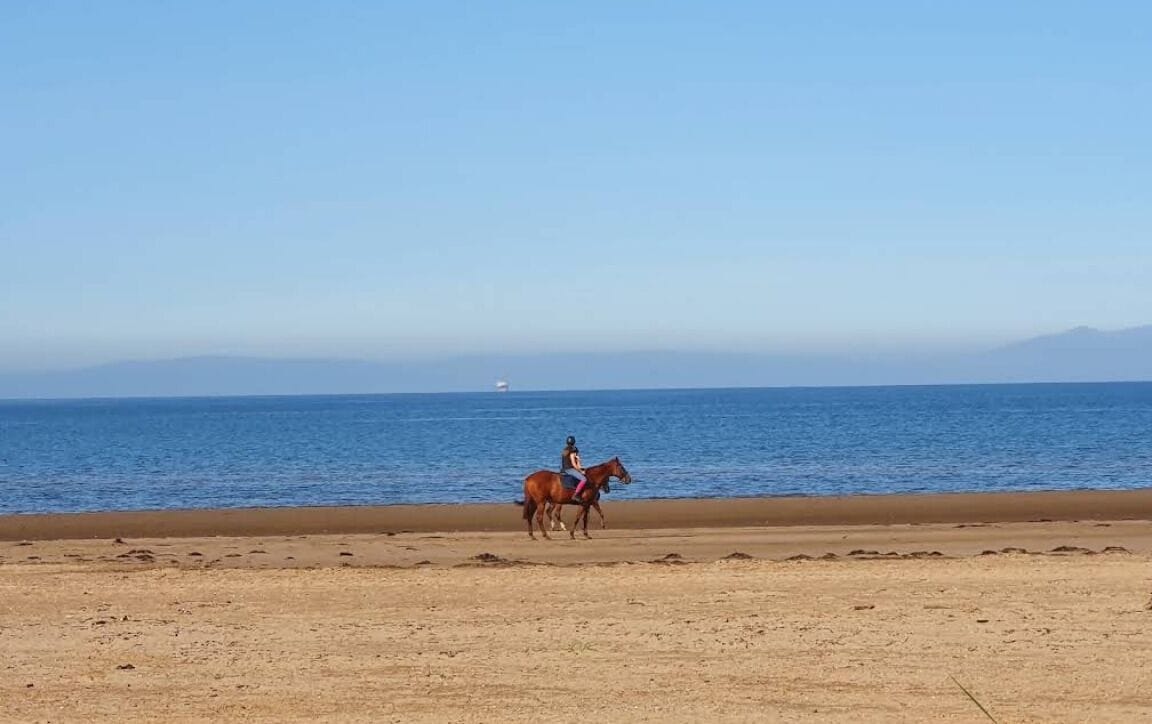 بالقرب من الشاطئ، رمال بيضاء