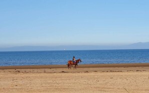 Beach nearby, white sand
