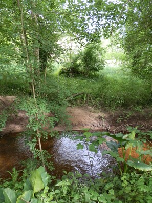 Property grounds - Quiet 7-bedroom family home by the river (Léognan)