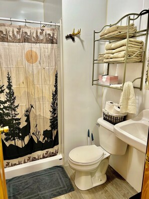 Towels, soap, shampoo, toilet paper