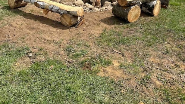 Un foyer entouré de bûches, situé dans un champ herbeux, avec un lac et des montagnes en arrière-plan.