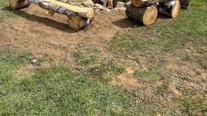 A fire pit surrounded by logs in a grassy field with a lake and mountains in the background.
