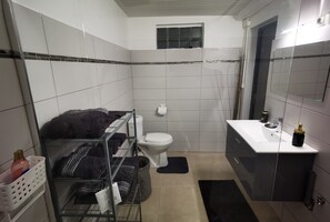 A bathroom with a white toilet, a sink with a mirror, and a shower area. - Bas de Villa en campagne (Le Lamentin)