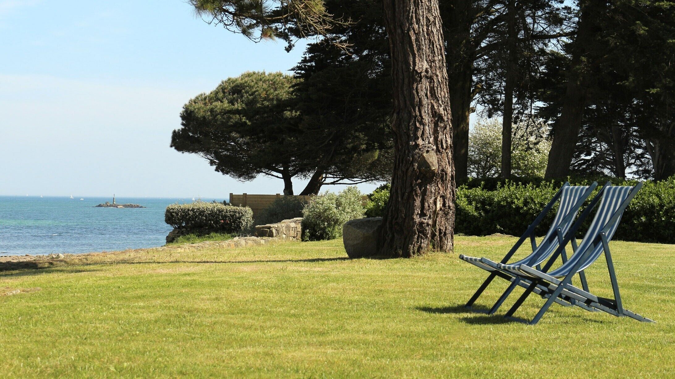A grassy area with a large tree, a bench, and a view of the sea.