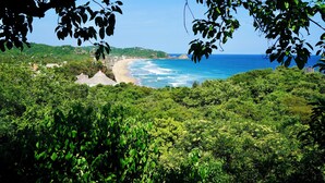 A coastal landscape with dense greenery and a beach. - El Guayacan  (Santa Maria Tonameca)