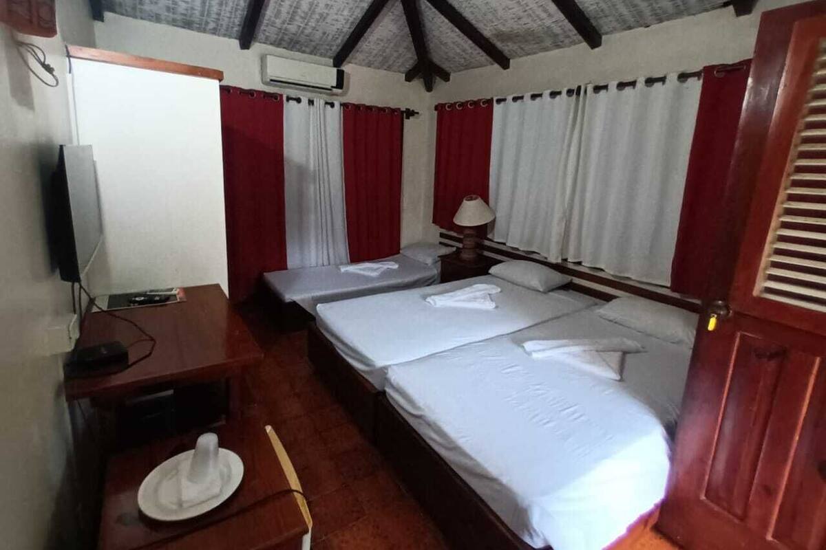 Habitación de hotel con dos camas individuales, un escritorio con silla, un televisor y un ventilador de techo.