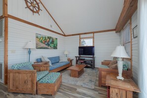 Tv, dvd-spelare och ett filmbibliotek