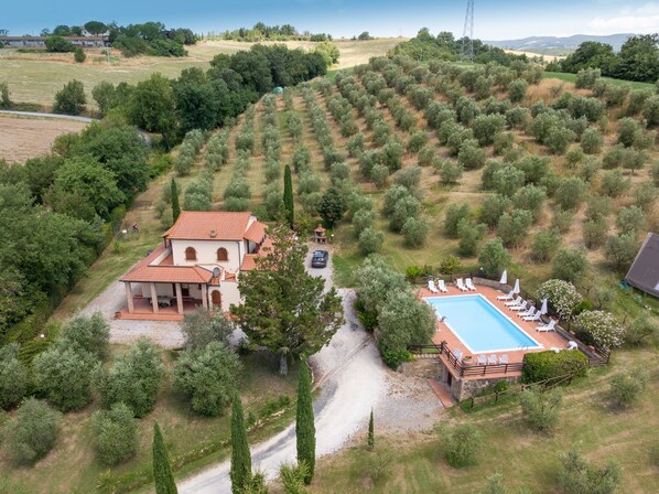 A villa with a swimming pool, surrounded by olive groves and a gravel driveway.