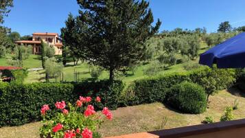 Overnatningsstedets område