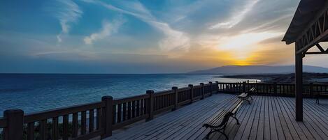 テラス / パティオ