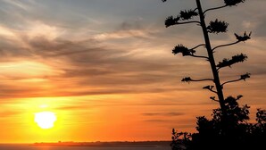Ein Sonnenuntergang über einem Gewässer, mit Silhouetten von Personen und Pflanzen.
