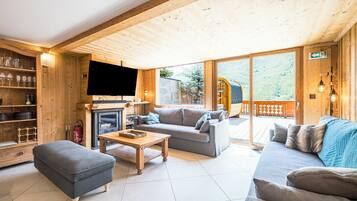 Télévision, cheminée, jeux vidéo, lecteur de DVD