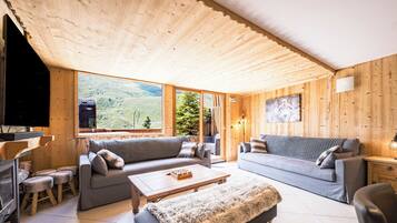 Télévision, cheminée, jeux vidéo, lecteur de DVD