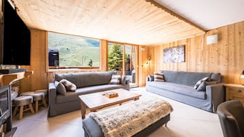 TV, fireplace, video games, DVD player