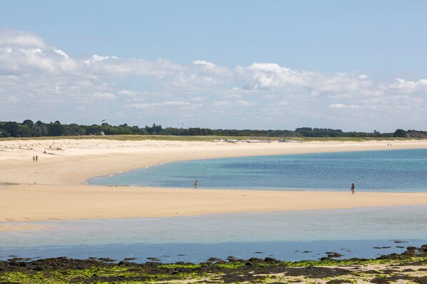 Una playa con arena, agua y árboles a lo lejos.