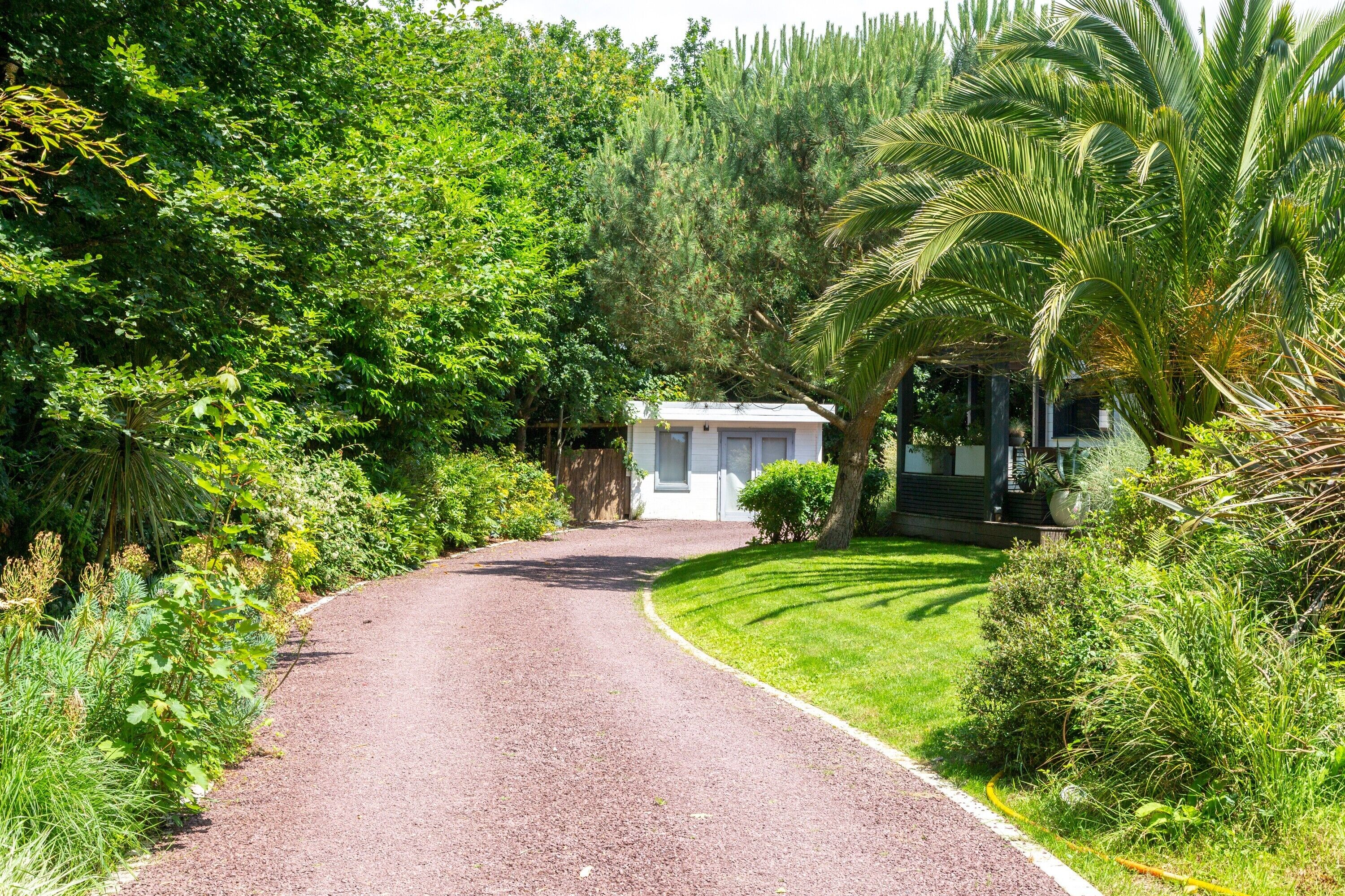 Un camino de grava conduce a una casa rodeada de abundante vegetación y una palmera.