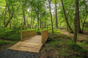 Property grounds - Shine on the Cartecay • Hot Tub + Game Room • Hammocks & Fire Pits (Ellijay)