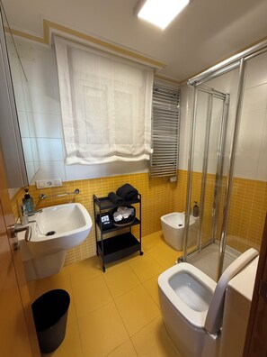 Shower, hair dryer, bidet, towels