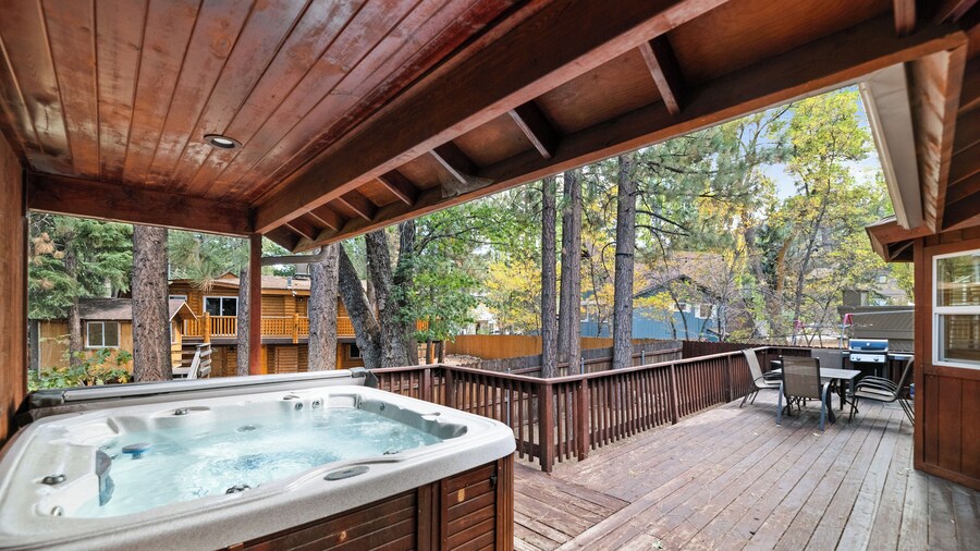 Arctic Wolf at Summit Base