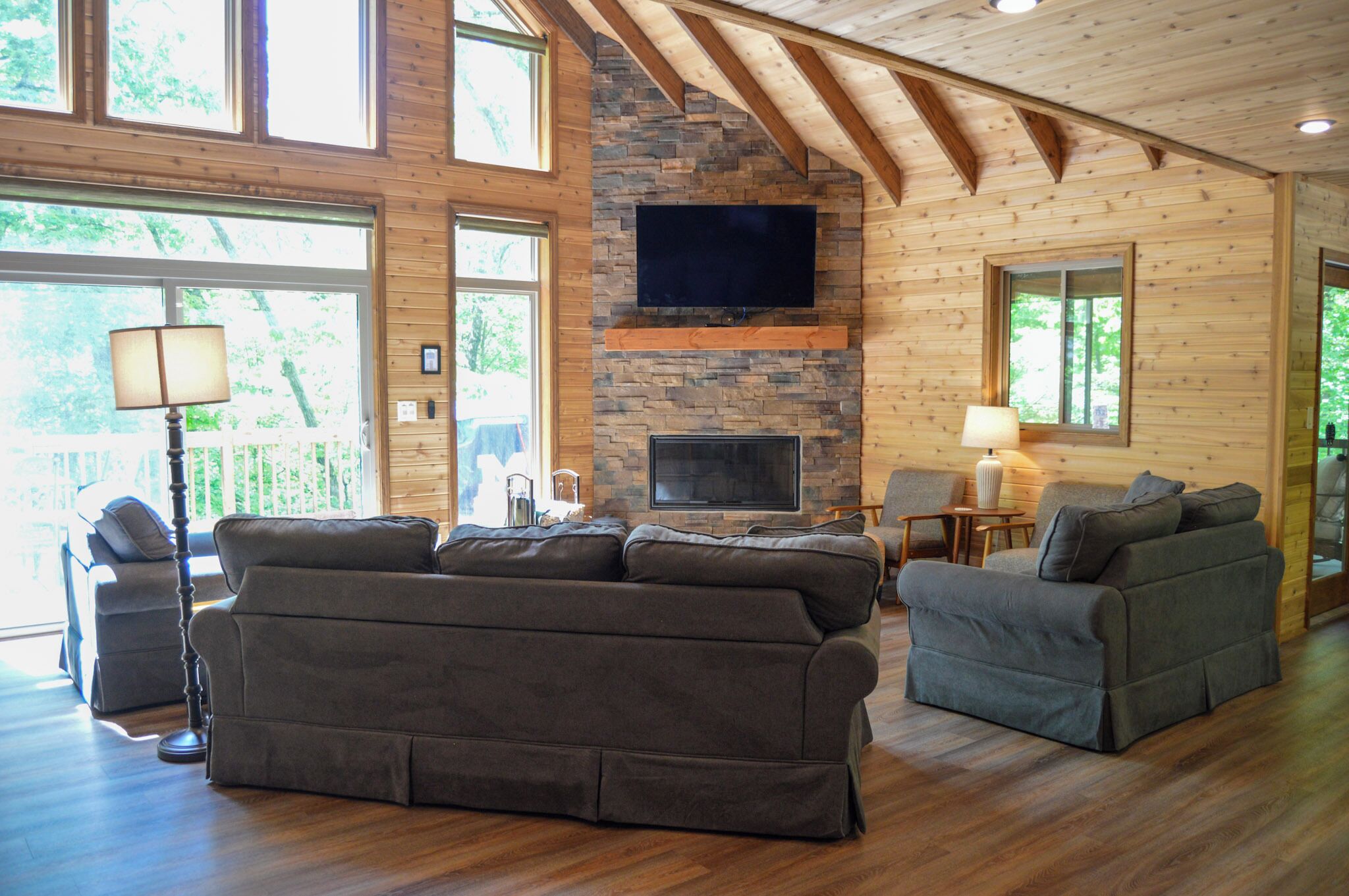 Televisor intel·ligent, llar de foc, reproductor de DVD i llibres 