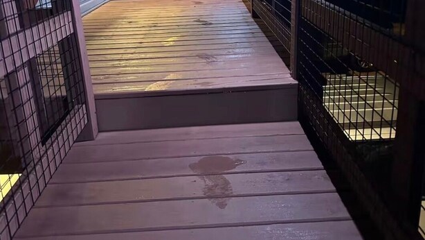 Una escalera de madera que conduce a un espacio al aire libre cubierto, con barandillas de metal e iluminación.