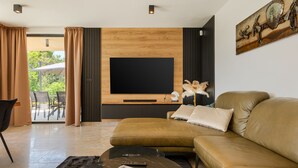 Televisión 