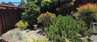 Spacious 3 bedroom house, close to Oakland, San Francisco, & San Jose.