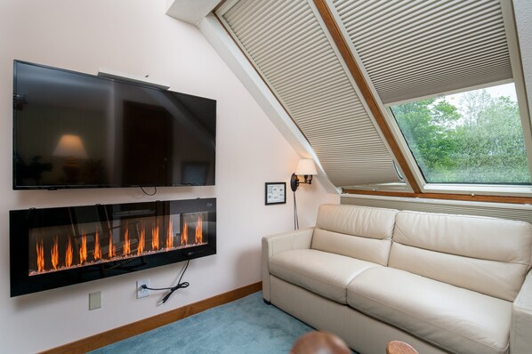 TV, fireplace, DVD player, music library